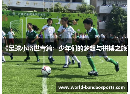 《足球小将世青篇：少年们的梦想与拼搏之旅》