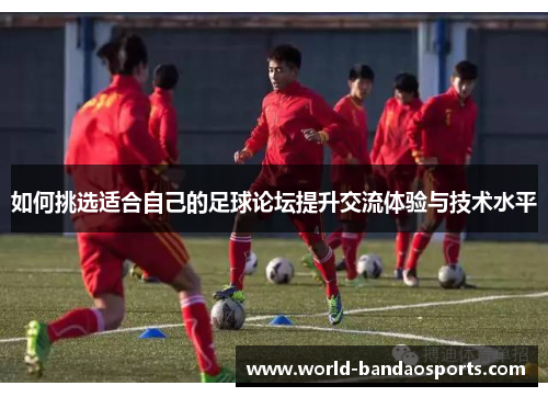 如何挑选适合自己的足球论坛提升交流体验与技术水平